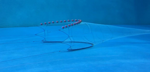 chesmmap_net_flume_tank.png