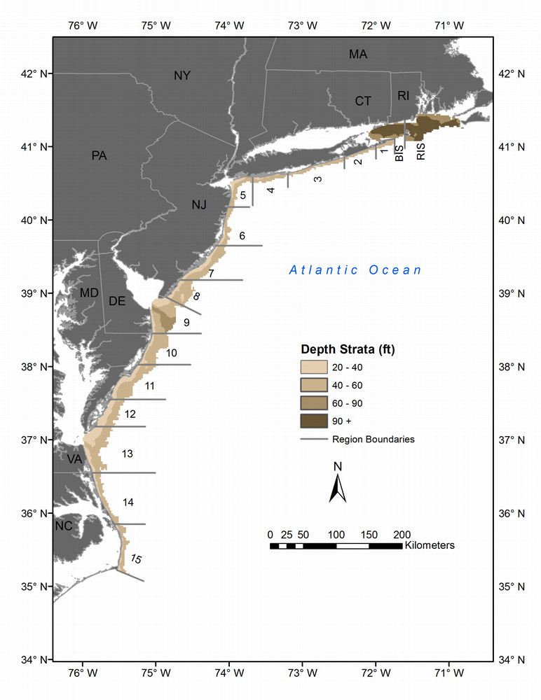 NEAMAP Survey Area