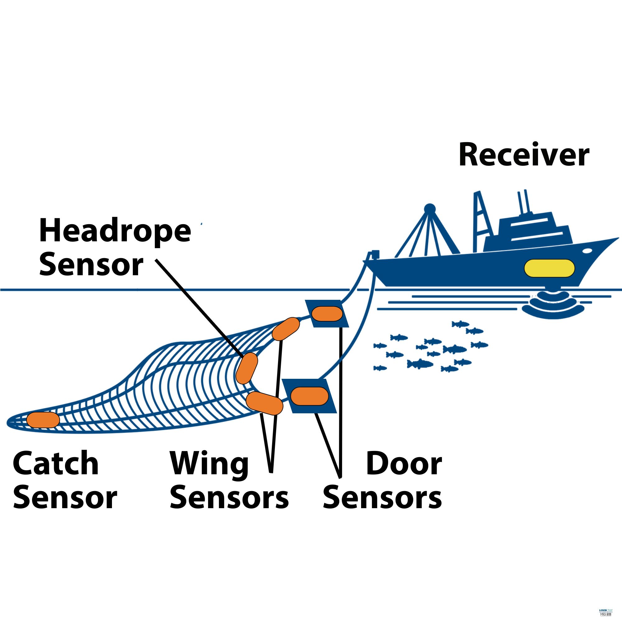 Netmind Sensor Graphic NEAMAP
