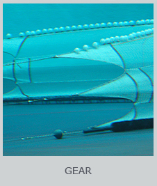 NEAMAP Gear