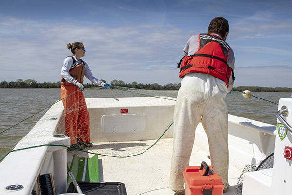 Gill Net Retrieval