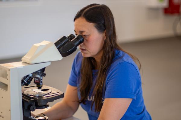 ABC employee looking through a microscope to check on baby oysters